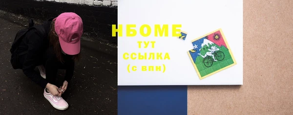 дмт Алексин