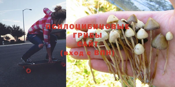 гашик Алзамай