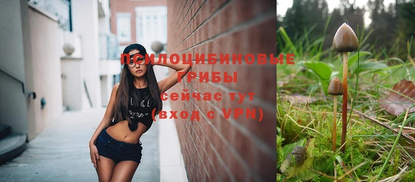 гашик Алзамай