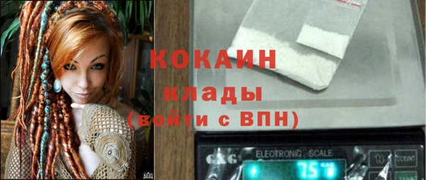 гашик Алзамай