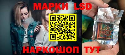 индика Моздок