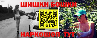 индика Моздок