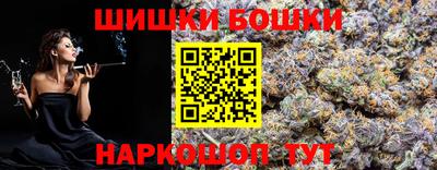 индика Моздок