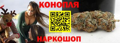 индика Моздок