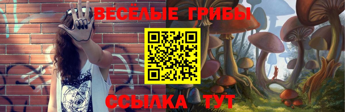 Псилоцибиновые грибы Psilocybine cubensis  Галлюциногенные грибы MAGIC MUSHROOMS  цена   Вход с VPN  Сорочинск 
