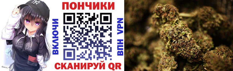 Шишки марихуана Amnesia  как найти закладки  Сорочинск 
